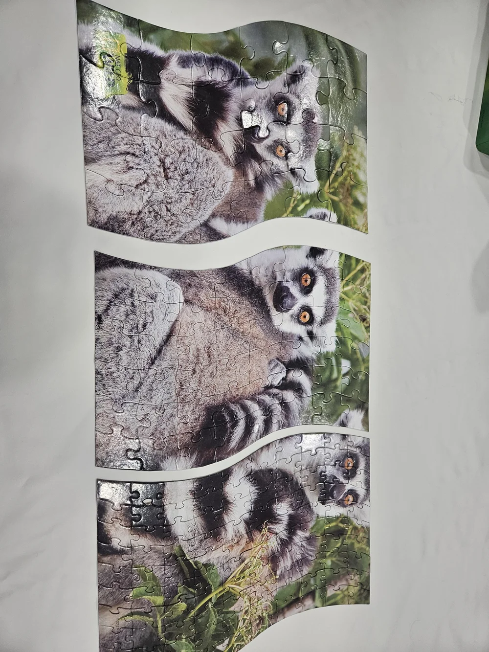 National Geographic Ring-Tailed Lemurs Puzzle Tin - Green, Black, White